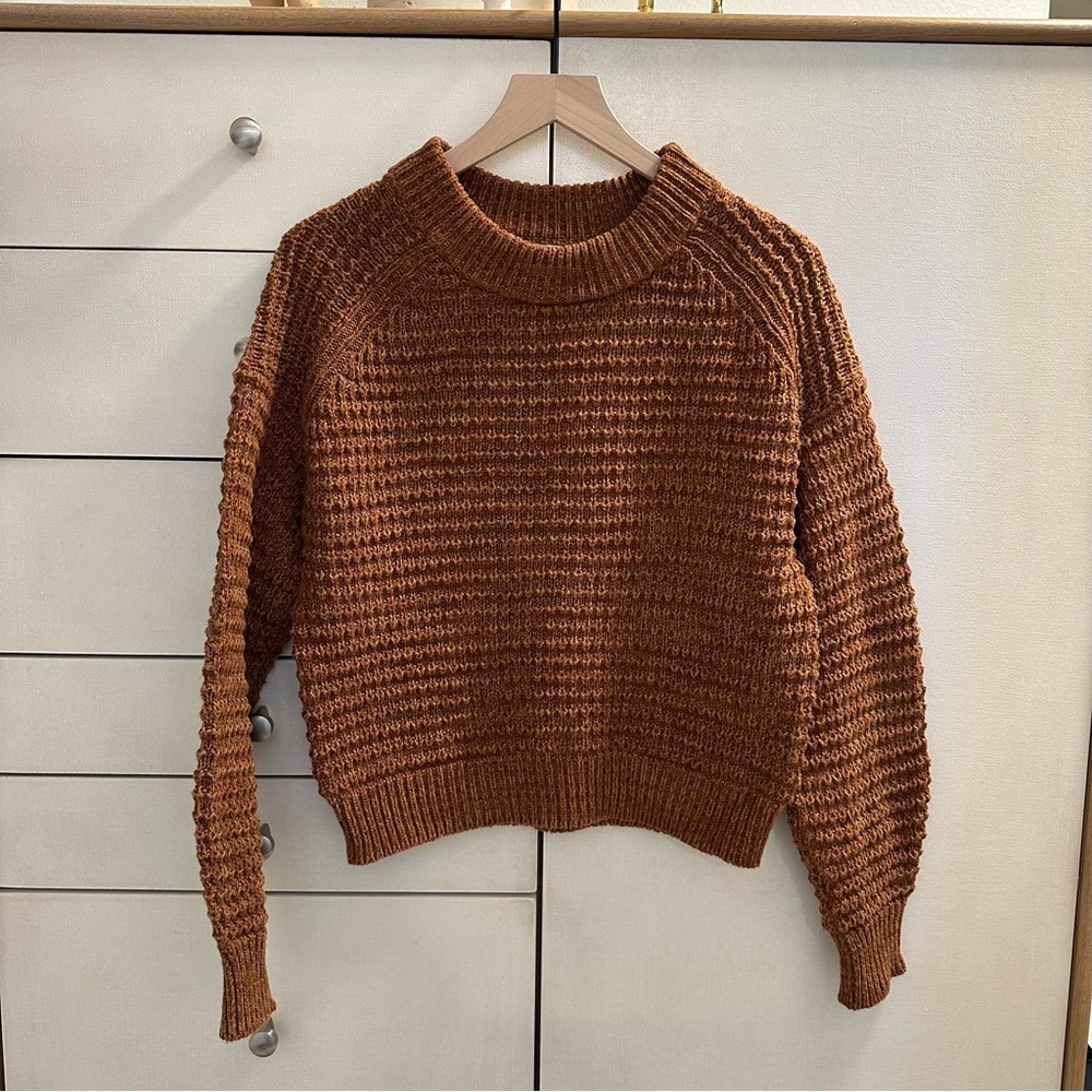 Brown Sweater